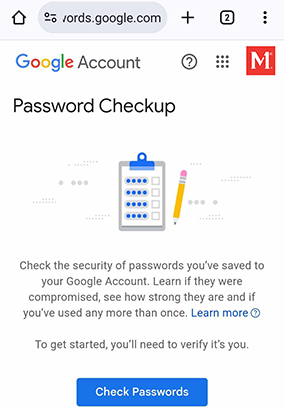 screenshot of google password check up screen