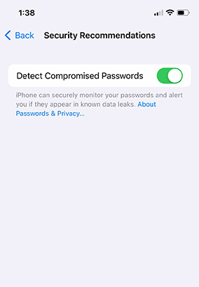 screenshot of apple password security recommendations screen