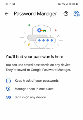 screenshot of google password manager